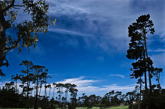 47938_B17_SL_COLOR_17M_DRIVE_CA_97_ CARMEL_CA_97_10.jpg