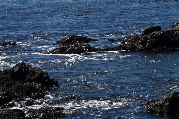 47935_B17_SL_COLOR_COAST_SAN_SIMEON_AND_UP_CA_97_15.jpg