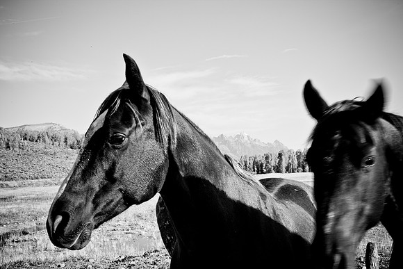 0020_Wyonming_To_Ketchem_Sun_Valley_ID_5L8Y7456