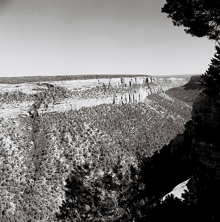 36047_film_BW_03_LR__NAVAJO_USA_AZ.JPG