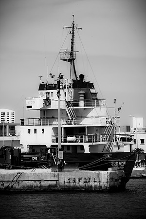 3440_DG_Port_Cargo_Miami_FL_ZV4N8813
