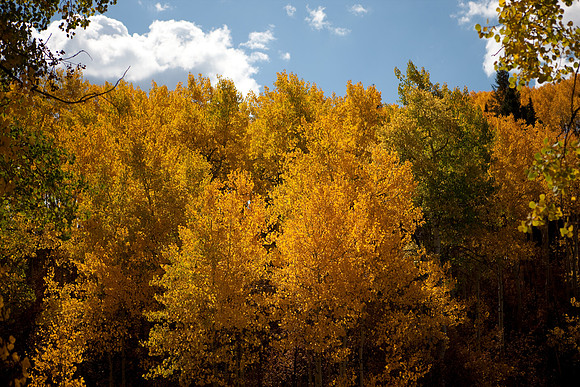 20080829_DVD15_DG_USA_Aspen_2164_full_blead