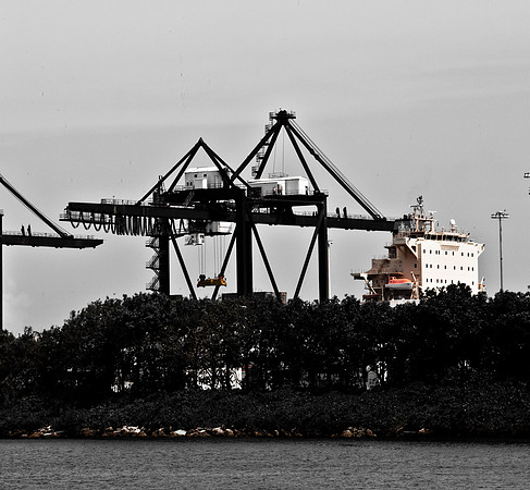 3042_Miami_Urban_20090618-5L8Y9643