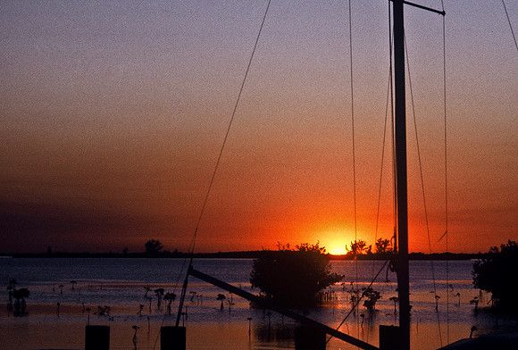 47364_B3_SL_COLOR_SURROUNDINGS_NE_97_01.jpg