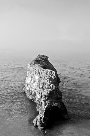 5L8Y0874