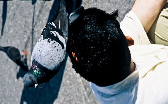 3822_SL_COLOR_AROUND_THE_WORLD_IN_8_MONTHS_APRIL_2000_12