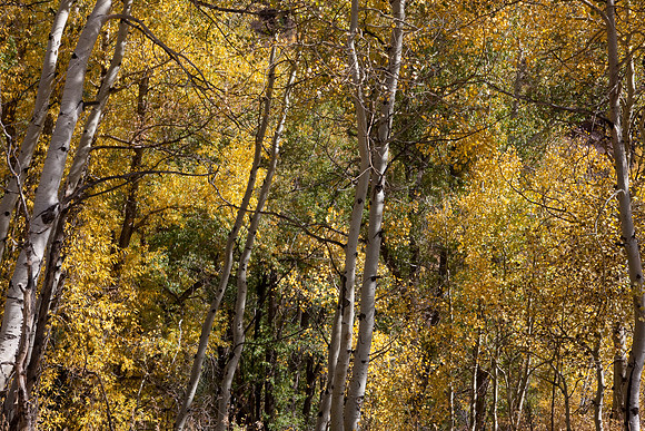 20080830_DVD14_DG_USA_Aspen_2390_full_blead