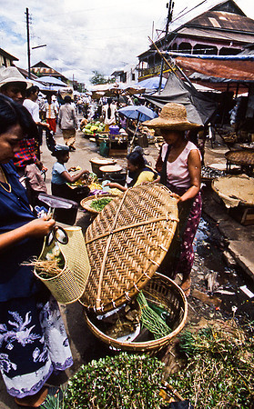 3484_SL_COLOR_AROUND_THE_WORLD_IN_8_MONTHS_APRIL_2000_4