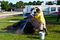 42588_Circus_Miami__Park__IMG_6402
