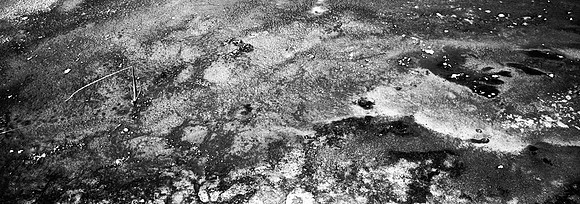 36108_B_FM_MONATANA_03_2.jpg