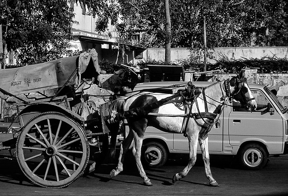 47270_SL_COLOR_INDIA_1987_19