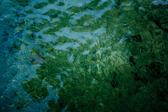 36172_DG_Color_USA_Harbour_Island_Bahamas_Related_GroupZV4N0945