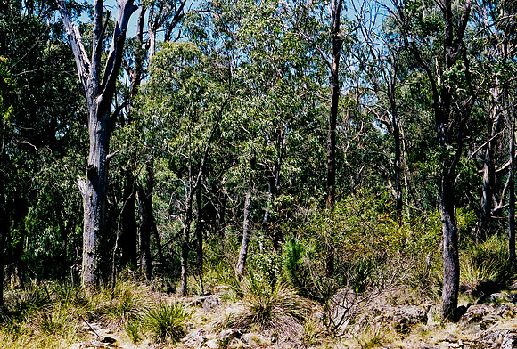 3906_FM_BOX_I_COLOR_35MM_NSM_AUSTRALIA_2008_3