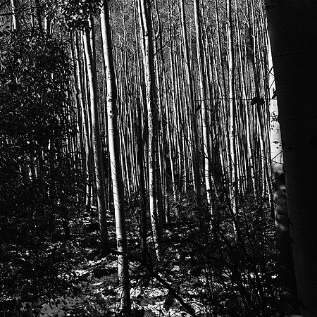 6098_FM_BW_INDEPENDENCE_CO_05_5.jpg