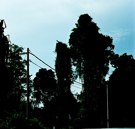 FILM