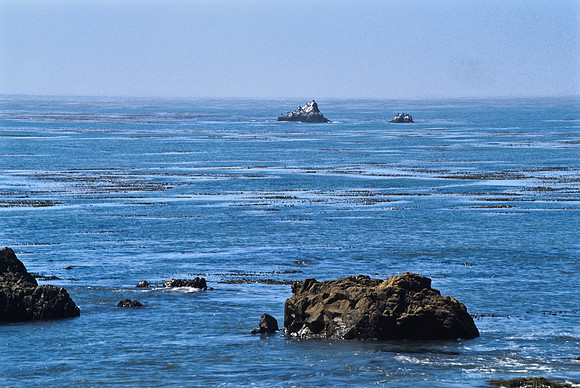 47935_B17_SL_COLOR_COAST_SAN_SIMEON_AND_UP_CA_97_14.jpg