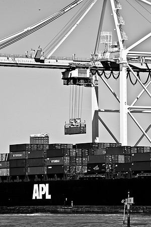 2702_DG_Port_MiamI_FL_5L8Y2214