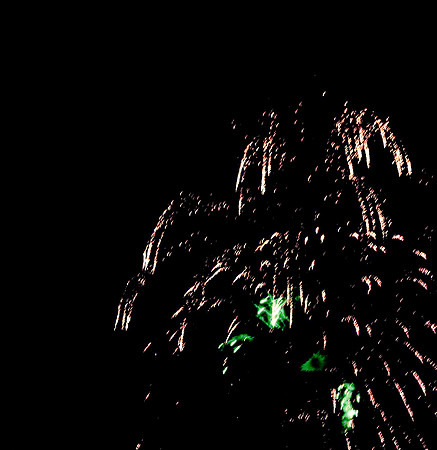 3885_DG_4_July_Fisher_2010_Miami_FL_ZV4N4746