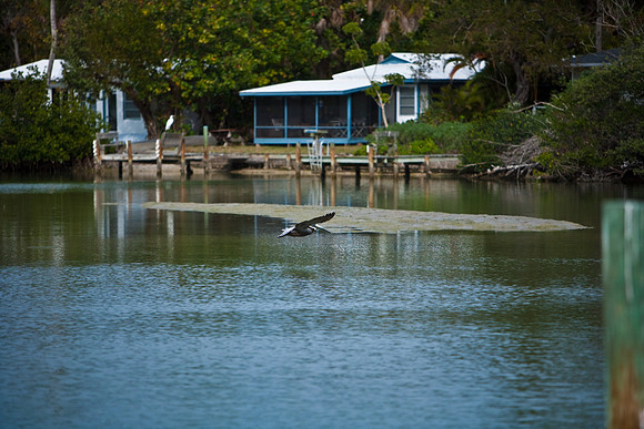 85541_ZV4N6739_Miami_To_Sanibel_Island_FL