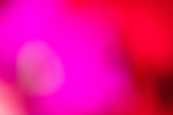 20170120_Flowers_Closeups_75A3683