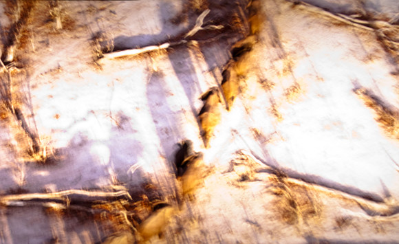 2905_DG_Lincoln_Road_Mouvie_Earth_Maimi_Beach_FL20090426-5L8Y6879