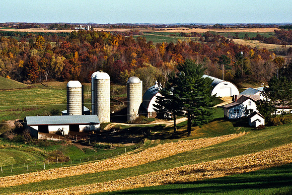 0337_FM_COLOR_MINESOTA_99_76.jpg