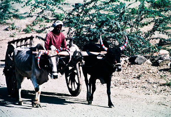 47278_SL_COLOR_INDIA_1987_18