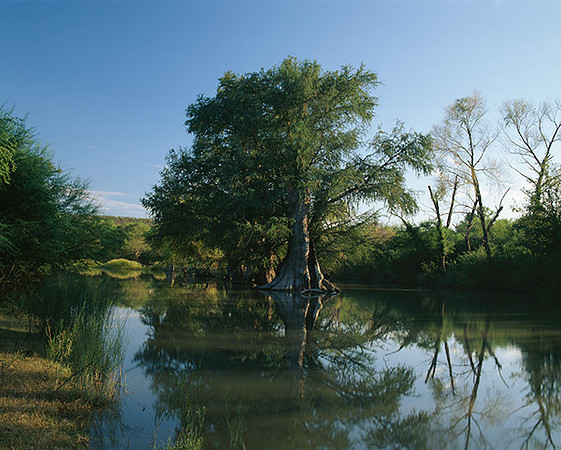 4000_20080719_ADS_Mexican_Landscape_Mexico_144