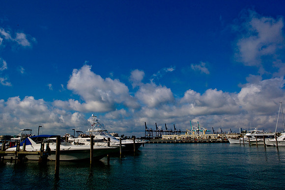36152_DG_Color_USA_Miami_FL_Related_Group_Port_of_MiamiZV4N4948