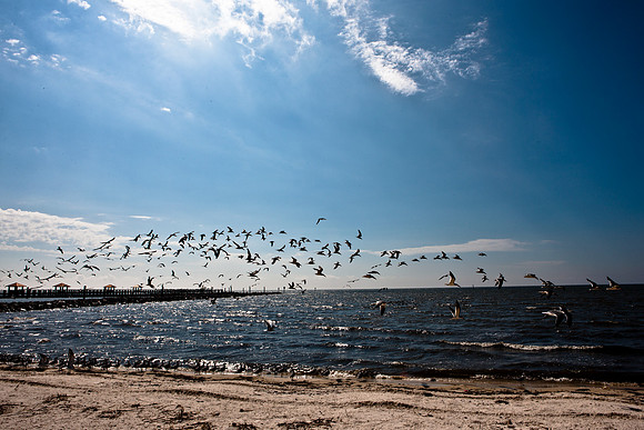0036-NEW_ORLEANS_TO_PANAMA_CITY_BEACH_5L8Y1174