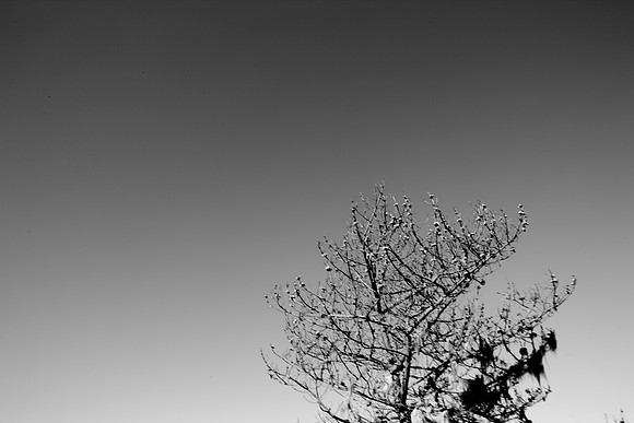 5L8Y0984