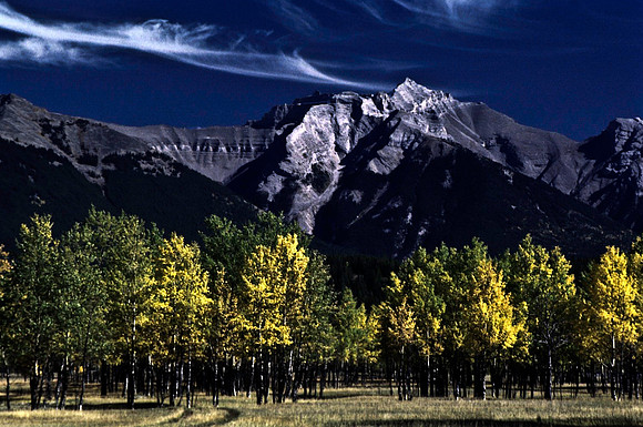 06823_B19_SL_COLOR_BISON_NAT_PARK_LAKE_LOUIS_VILLAGE_WS_97_09.jpg
