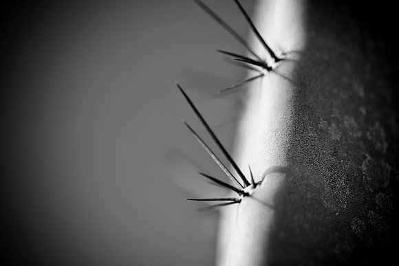 0031_La_Arizona_5L8Y5165