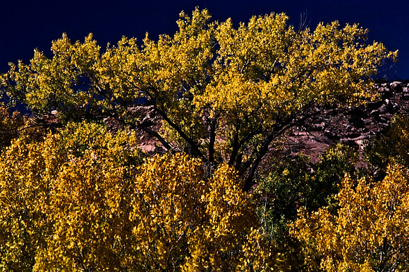06785_B10_SL_COLOR_MOAB_TO_CHURCH_ROCK_HWY191_TO_HOLE_THE_ROCK_UT_97_08.jpg