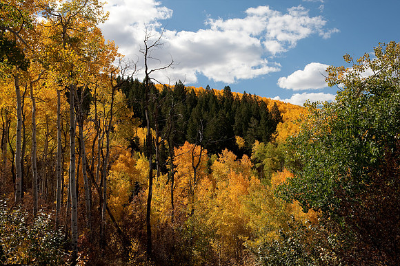 20080829_DVD15_DG_USA_Aspen_2082_full_blead