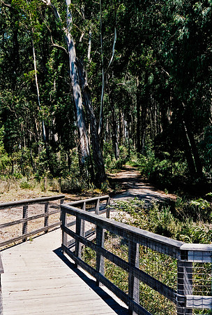 3906_FM_BOX_I_COLOR_35MM_NSM_AUSTRALIA_2008_6