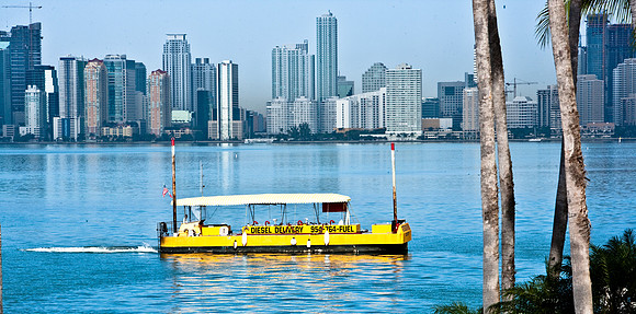 2704_84744_ZV4N_8216_Miami_Florida_USA