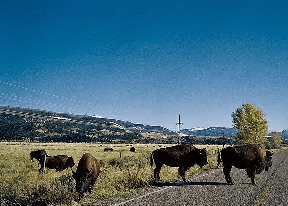 6087_FM_COLOR_ASPEN_TO_INDEPENDENT_CO_05_16.jpg