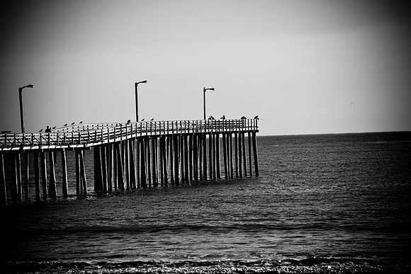 0028_Frisco_To_LA_5L8Y2000