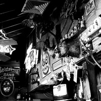 6161_FM_BW_ST_GEORGIA_ISLAND_FL_05_1.jpg