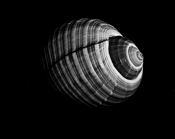 42423_FM_4X5_BW_GIANT_TUM_FL_04_04.jpg