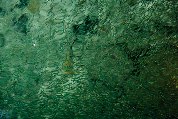 36172_DG_Color_USA_Harbour_Island_Bahamas_Related_GroupZV4N0940