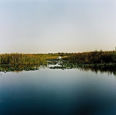 33931_FM_COLOR_SQ_EVERGLADES_FL_03_03.tif