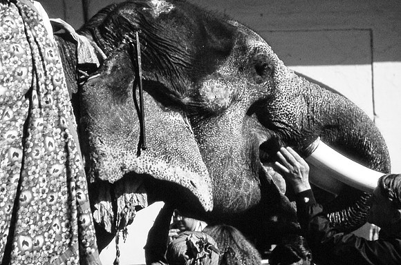 47285_SL_COLOR_INDIA_1987_9