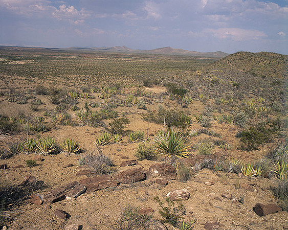 4000_20080719_ADS_Mexican_Landscape_Mexico_P059