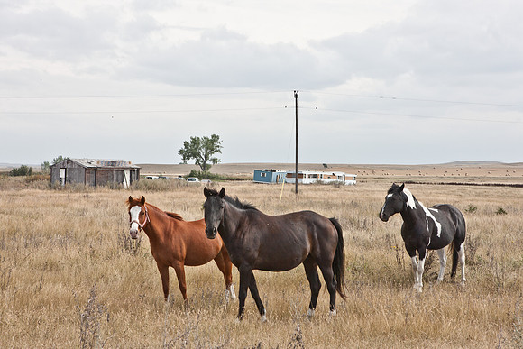 0044_North_Dacota_Fargo_to_South_Rapid_City_TO_CHEYENNE_5L8Y4149