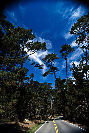 47938_B17_SL_COLOR_17M_DRIVE_CA_97_ CARMEL_CA_97_05.jpg