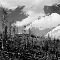 7550_B4P3_BW_LOS_ANGELES_CA_01_3.jpg