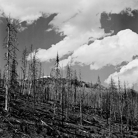 7550_B4P3_BW_LOS_ANGELES_CA_01_3.jpg