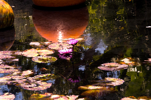 84775_DSC_0093_Fairchild_Garden_Miami_FL_USA
